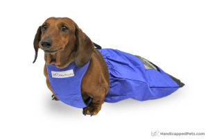 Drag bags for paralyzed pets  Dog Wheelchairs, Dog Carts, Handicapped Pets  Canada