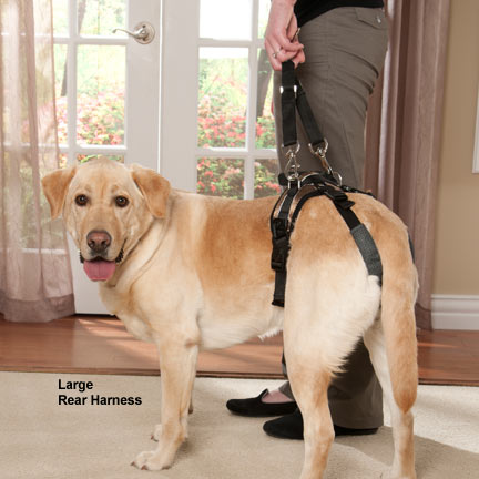 solvit carelift full front & back lifting aid mobility dog harness