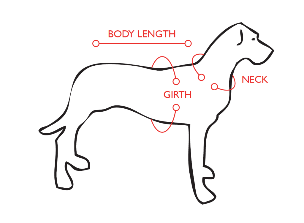 dog-diagram handicapped pets canada