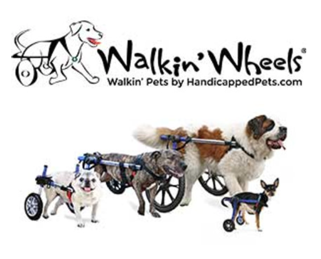 Top Five Reasons Why Walkin’ Wheels is the Best Dog Wheelchair