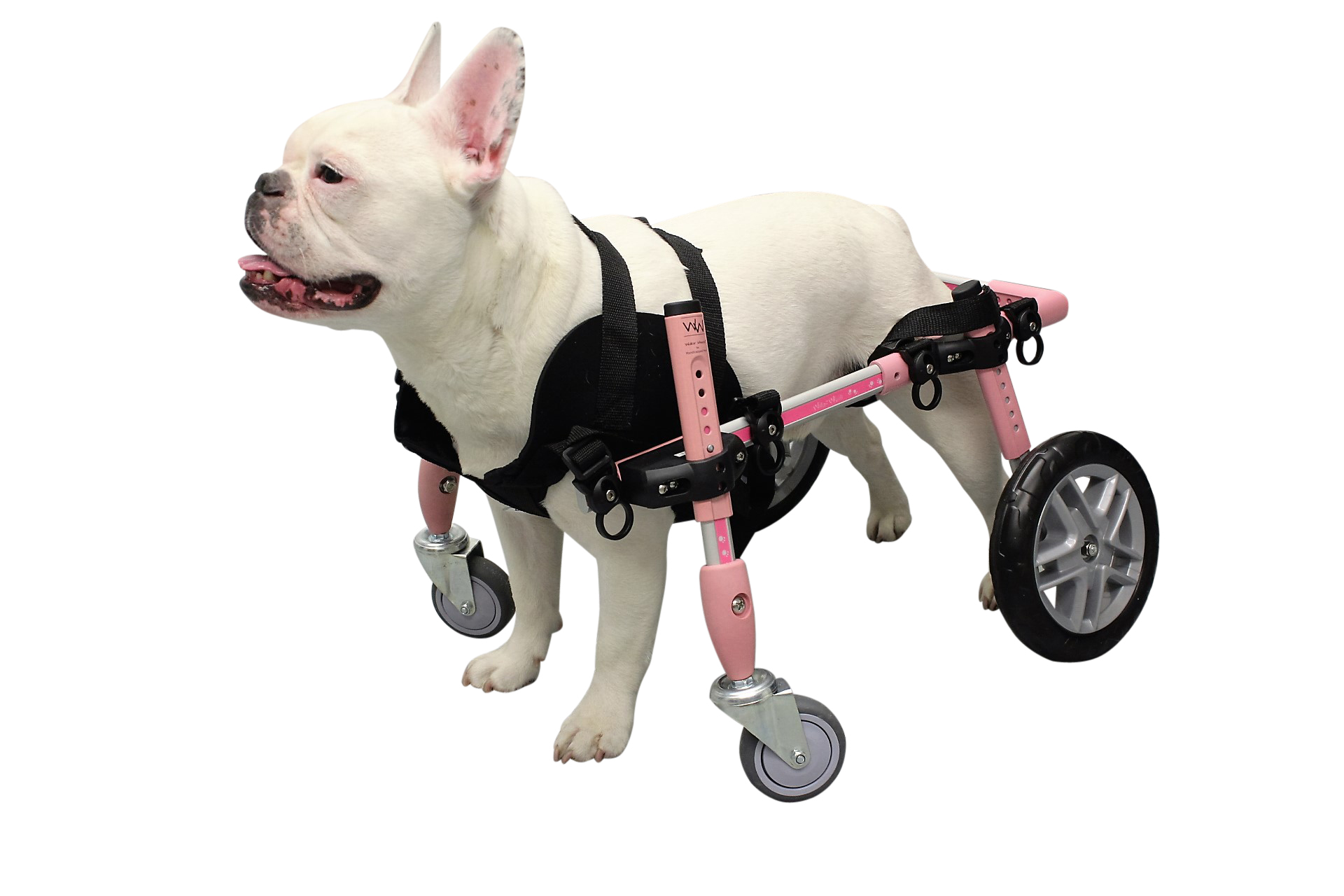 Dog Wheelchair Harness Dog Wheelchairs, Dog Carts