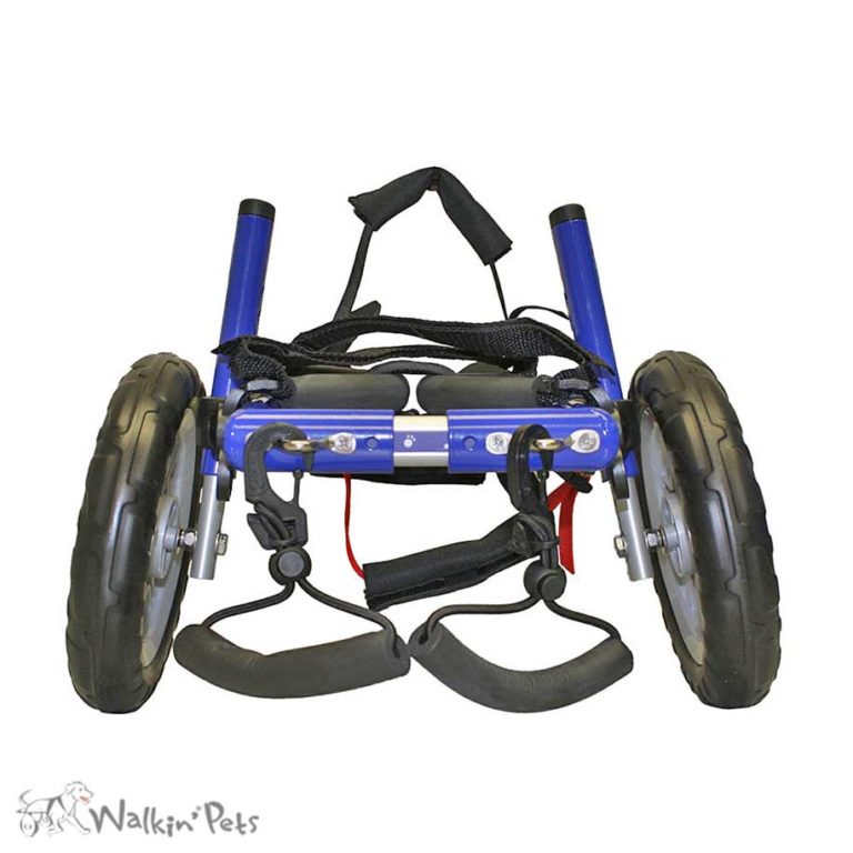 How do I measure my Dog for a Wheel Chair?