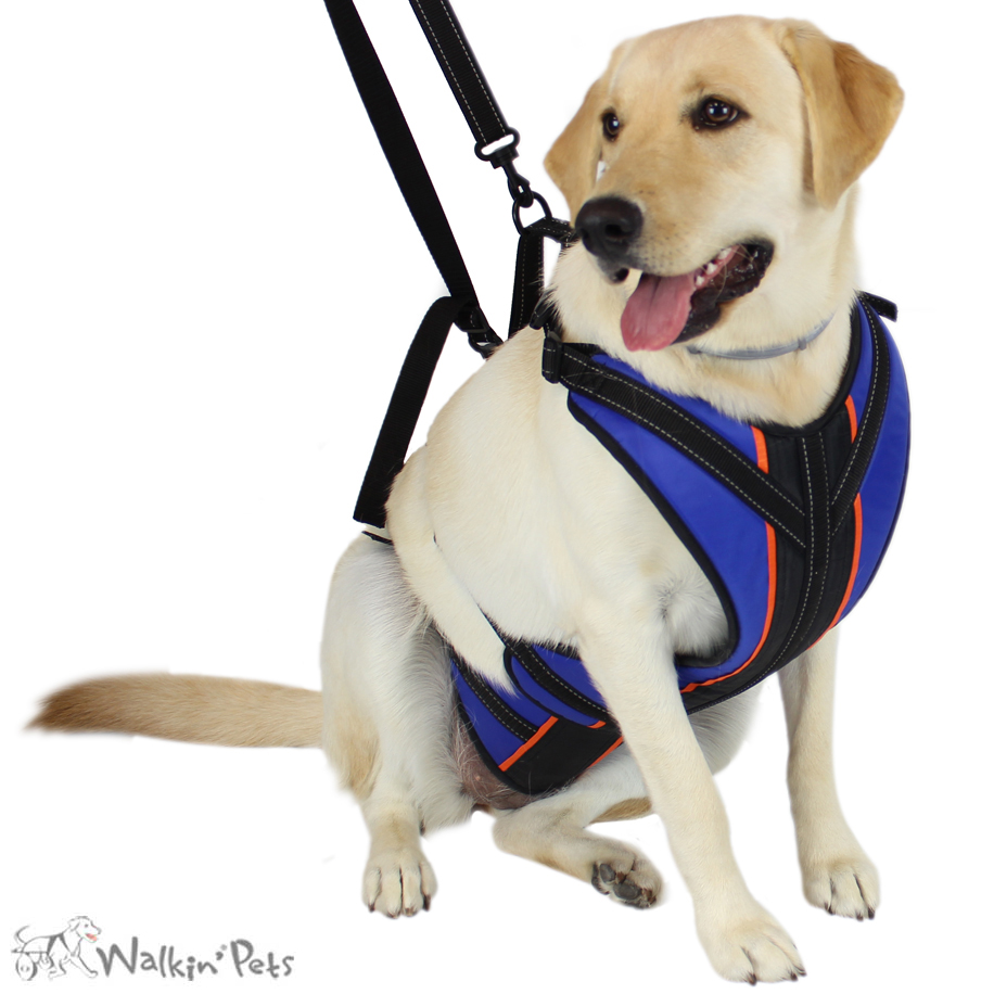 Sturdy Dog Lift Harness Full Body Support & Mobility Aids System - 5-in-1  Lifting Support, Carry Sling, Vest Harness, Back Brace, and Anxiety Vest 