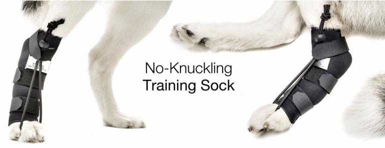No-Knuckling Training Sock and Underwater Treadmill