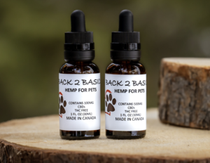 CBD Oil for Pets – The Basics of What You Need to Know